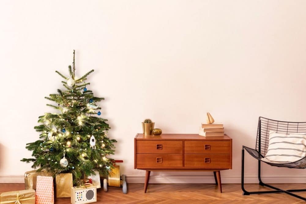 Start-up WunderTree: Die nachhaltige Lösung für Weihnachtsbäume